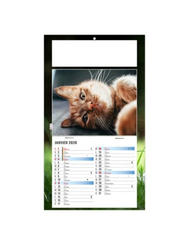 PLAQUE 1 VUE CESAR 2026 - DOS CARTON - BLOC B2 - SANS MARQUAGE