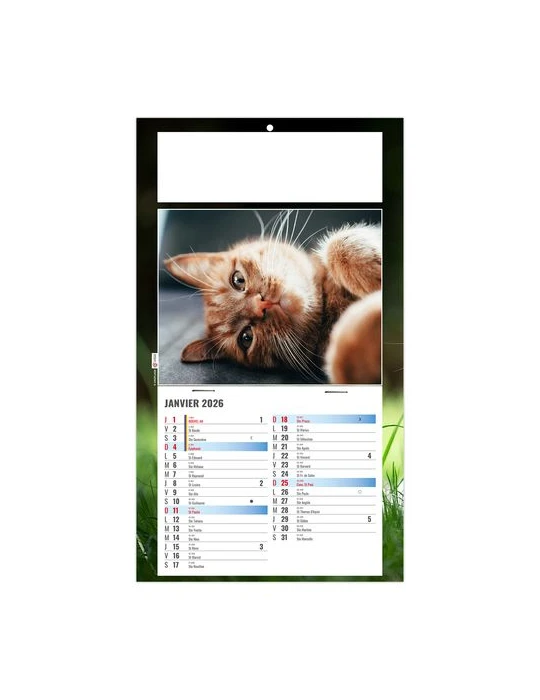 PLAQUE 1 VUE CESAR 2026 - DOS CARTON - BLOC B2 - SANS MARQUAGE