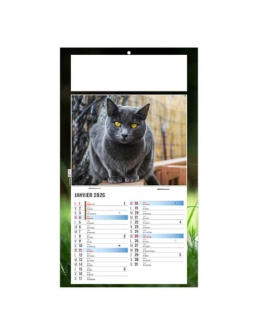 PLAQUE 1 VUE CESAR 2026 - DOS CARTON - BLOC B2 - SANS MARQUAGE 2