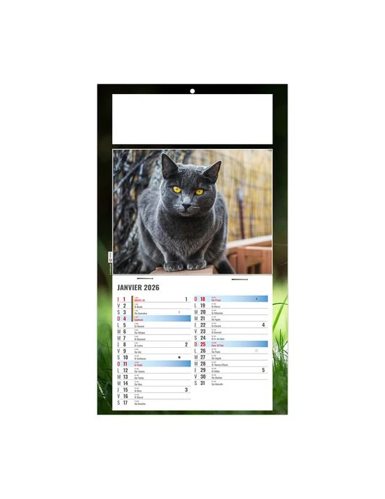 PLAQUE 1 VUE CESAR 2026 - DOS CARTON - BLOC B2 - SANS MARQUAGE