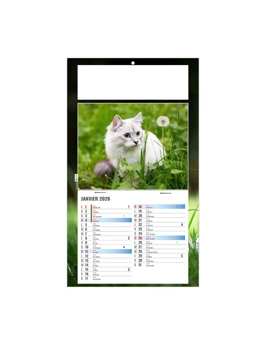 PLAQUE 1 VUE CESAR 2026 - DOS CARTON - BLOC B2 - SANS MARQUAGE