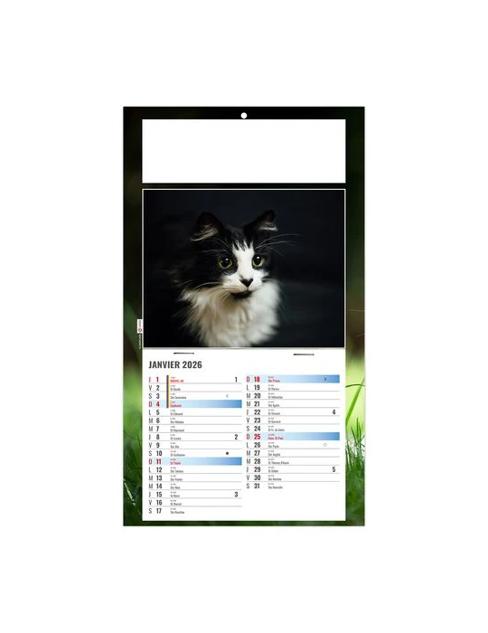 PLAQUE 1 VUE CESAR 2026 - DOS CARTON - BLOC B2 - SANS MARQUAGE