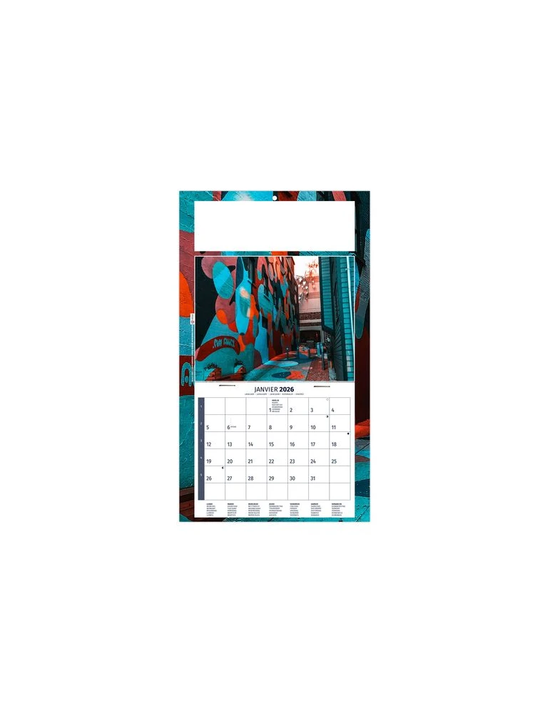 PLAQUE 1 VUE TIPHAINE 2026 - DOS CARTON - BLOC B2 - SANS MARQUAGE