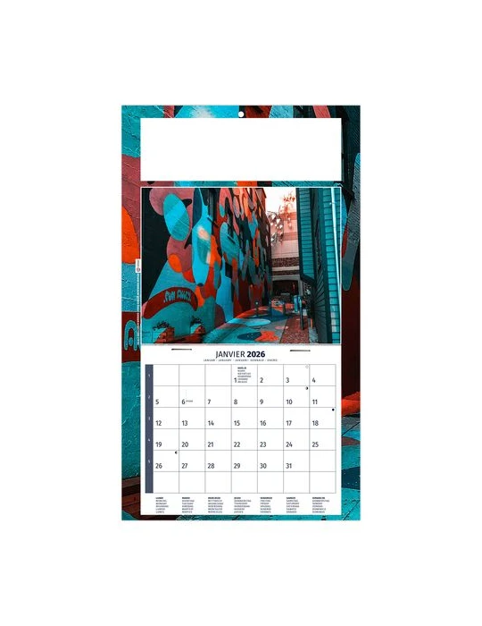 PLAQUE 1 VUE TIPHAINE 2026 - DOS CARTON - BLOC B2 - SANS MARQUAGE