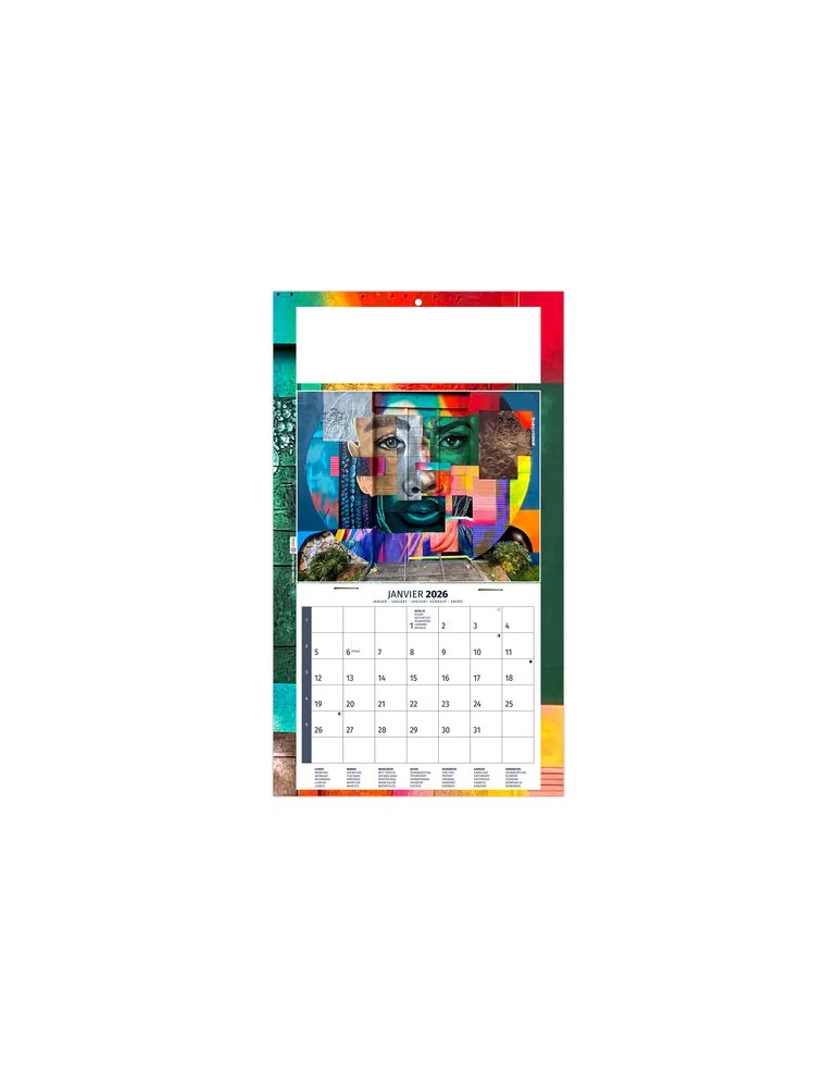 PLAQUE 1 VUE TIPHAINE 2026 - DOS CARTON - BLOC B2 - SANS MARQUAGE