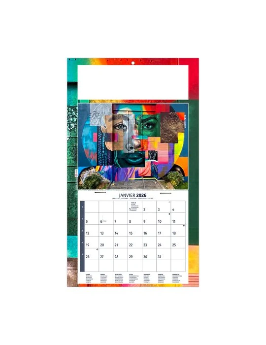 PLAQUE 1 VUE TIPHAINE 2026 - DOS CARTON - BLOC B2 - SANS MARQUAGE