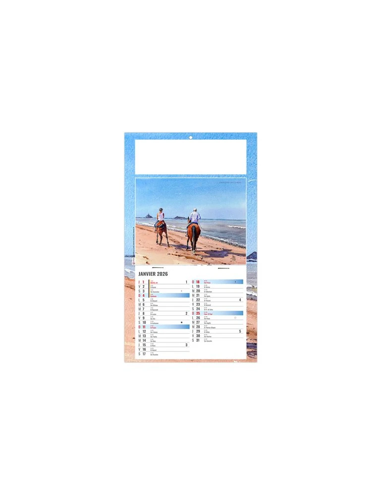 PLAQUE 1 VUE EMILIE 2026 - DOS CARTON - BLOC B2 - SANS MARQUAGE