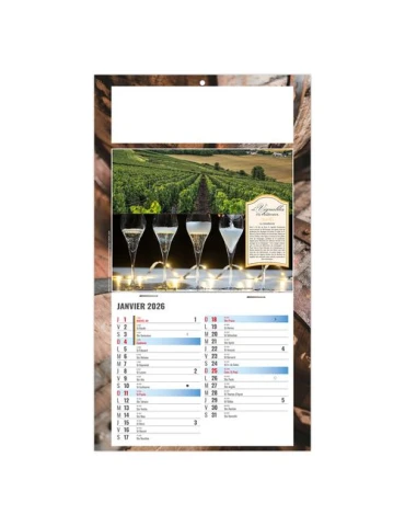 PLAQUE 1 VUE CORALIE 2026 - DOS CARTON - BLOC B2 - SANS MARQUAGE