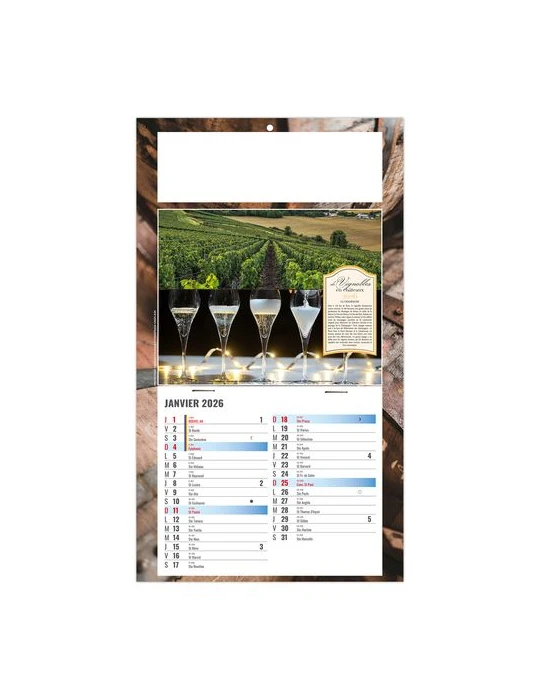 PLAQUE 1 VUE CORALIE 2026 - DOS CARTON - BLOC B2 - SANS MARQUAGE