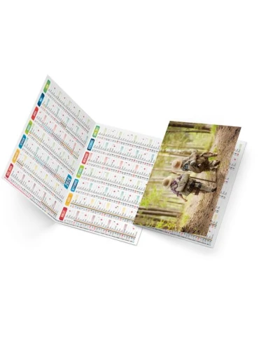 CHLOE 2026 - NEUTRE 1 POSE