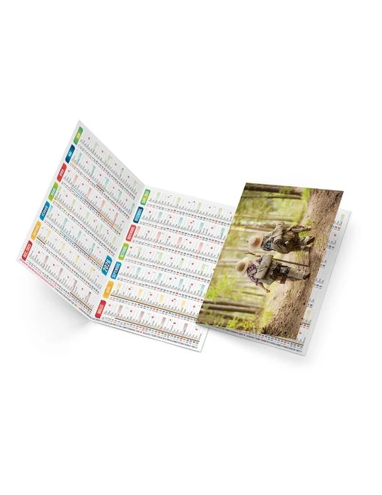 CHLOE 2026 - NEUTRE 1 POSE