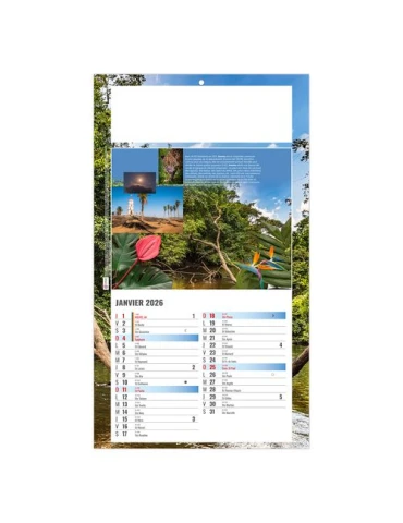 PLAQUE 1 VUE LUC 2026 - DOS CARTON - BLOC B2 - SANS MARQUAGE 2