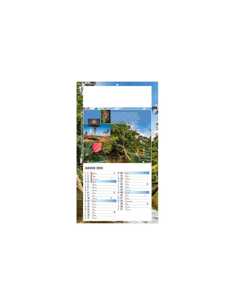 PLAQUE 1 VUE LUC 2026 - DOS CARTON - BLOC B2 - SANS MARQUAGE