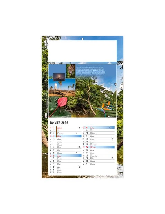 PLAQUE 1 VUE LUC 2026 - DOS CARTON - BLOC B2 - SANS MARQUAGE