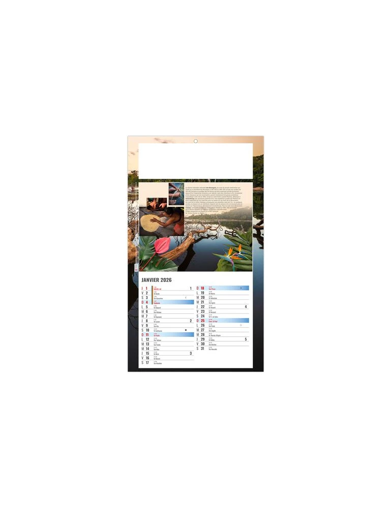 PLAQUE 1 VUE LUC 2026 - DOS CARTON - BLOC B2 - SANS MARQUAGE