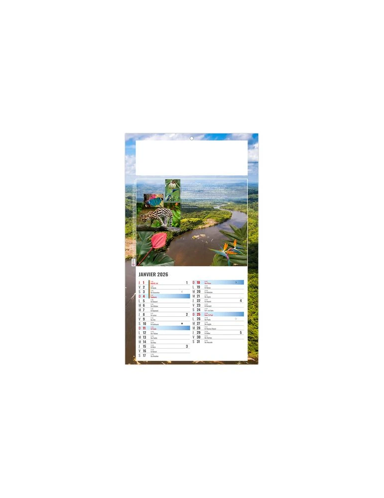 PLAQUE 1 VUE LUC 2026 - DOS CARTON - BLOC B2 - SANS MARQUAGE