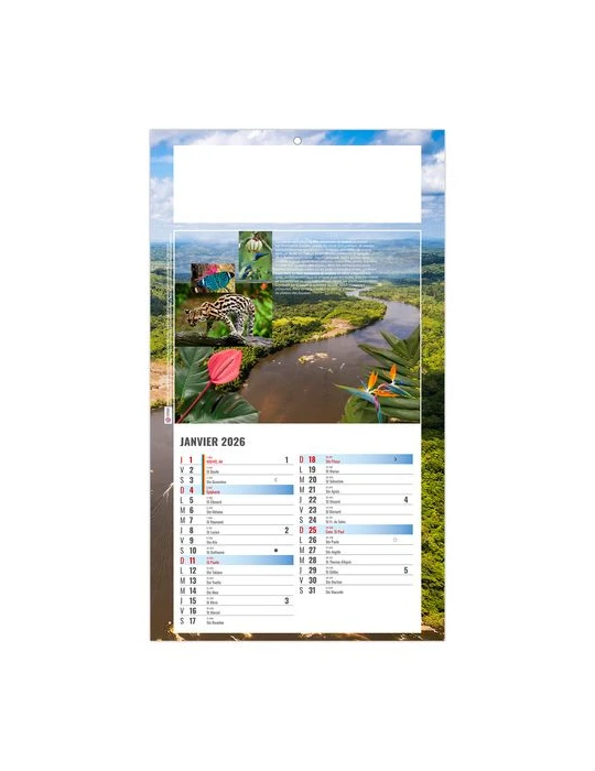 PLAQUE 1 VUE LUC 2026 - DOS CARTON - BLOC B2 - SANS MARQUAGE