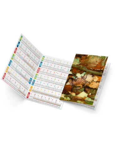 TRISTAN 2026 - NEUTRE 1 POSE 2