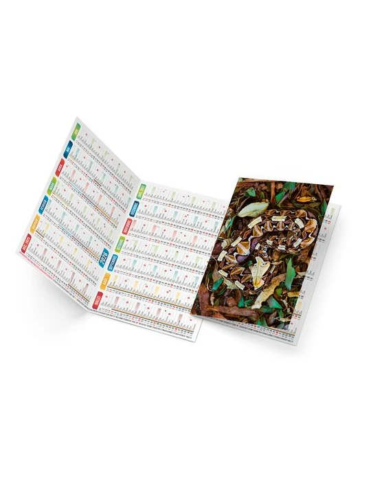 TRISTAN 2026 - NEUTRE 1 POSE goodies publicitaire événementiel