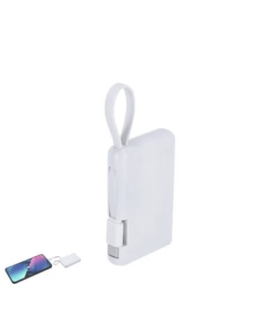 Power Bank Brandin