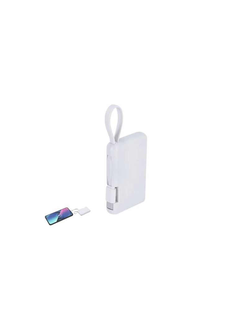 Power Bank Brandin