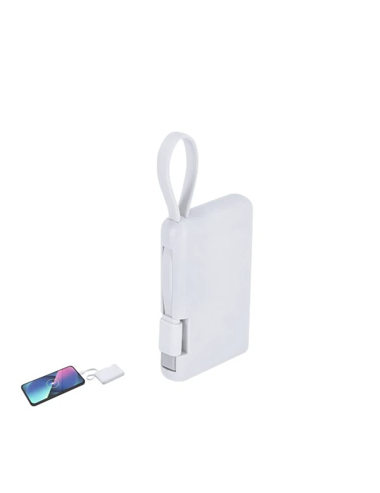Power Bank Brandin