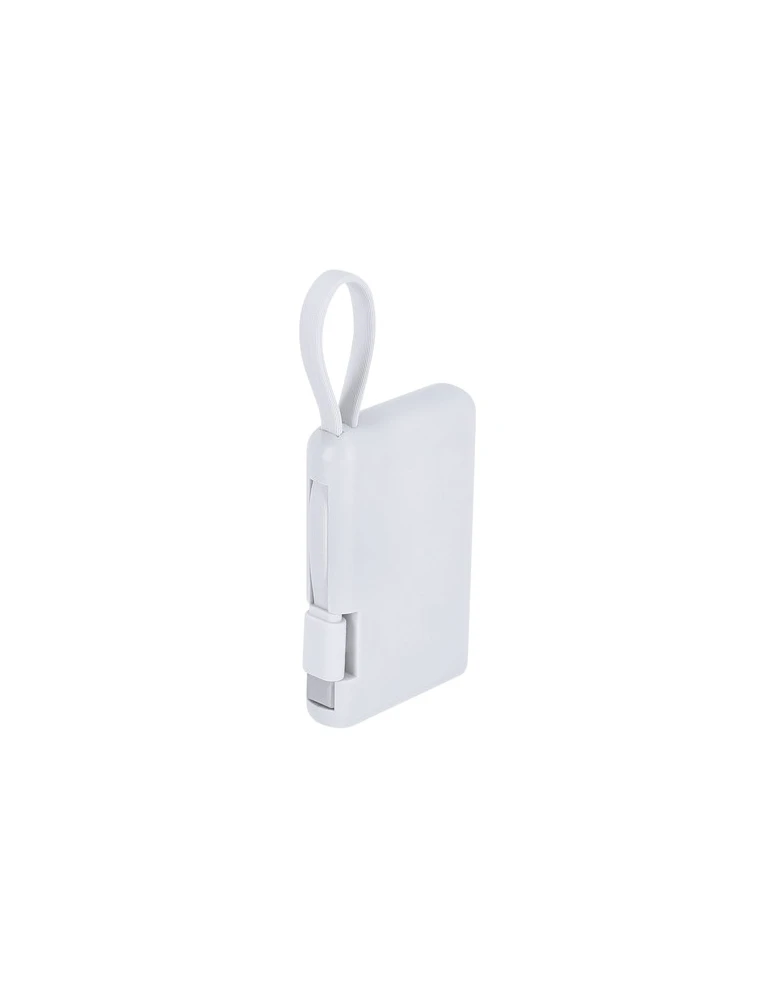Power Bank Brandin