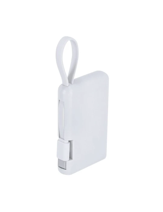 Power Bank Brandin