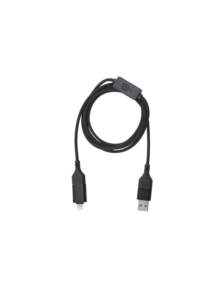 Câble De Protection Contre Le Piratage Gabbo