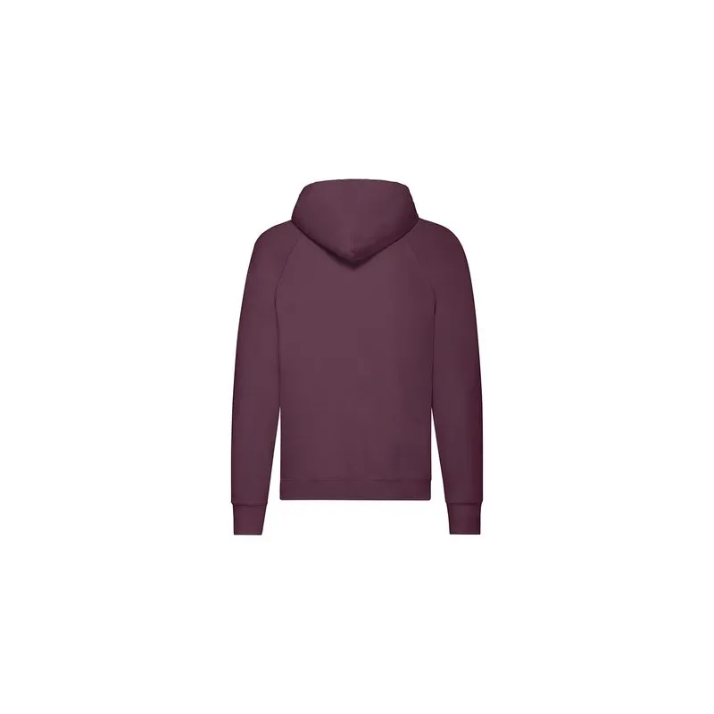 Sweat-Shirt Lightweight à Capuche Confortable et Personnalisé pour Adulte Matières : aluminium Couleurs : bleu cadeau entreprise