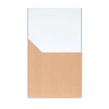 Plaque Trophée ZEAL en Cristal Personnalisé