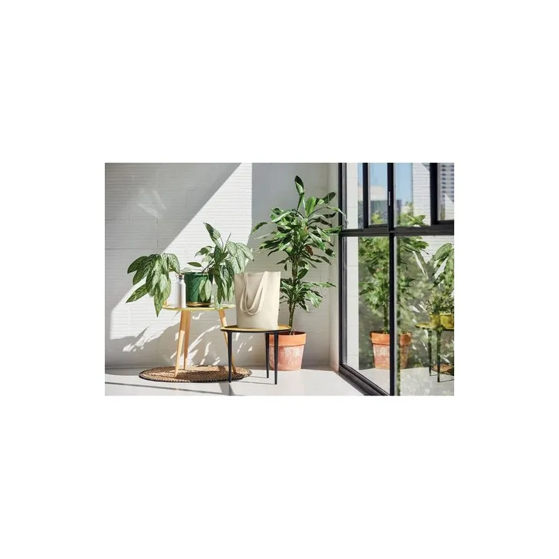 Sac shopping écologique en toile personnalisé | RASSA Matières : coton Taille textile : M Couleurs : orange impression haute déf