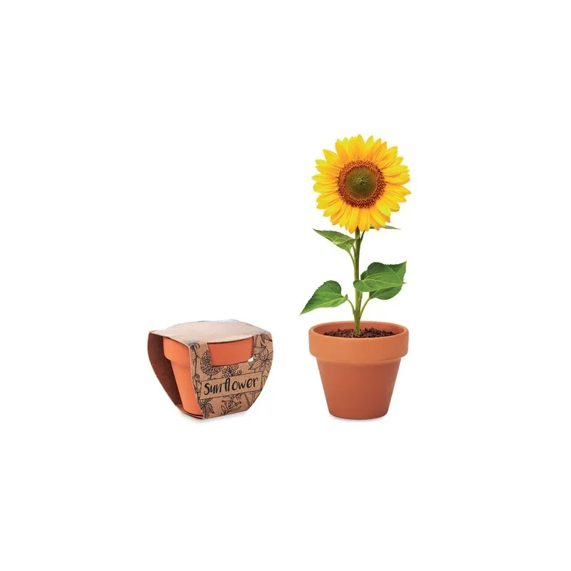 Pot écologique et personnalisé de graines de tournesol - SUNFLOWER Matières : coton Taille textile : S Couleurs : jaune