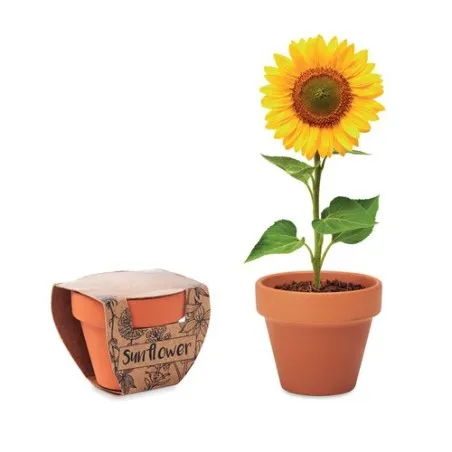 Pot écologique et personnalisé de graines de tournesol - SUNFLOWER Matières : coton Taille textile : S Couleurs : jaune