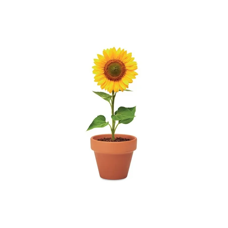 Pot écologique et personnalisé de graines de tournesol - SUNFLOWER Matières : coton Taille textile : S Couleurs : jaune impressi
