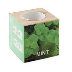 Pot en bois personnalisé avec graine de menthe MENTA Couleurs : bois