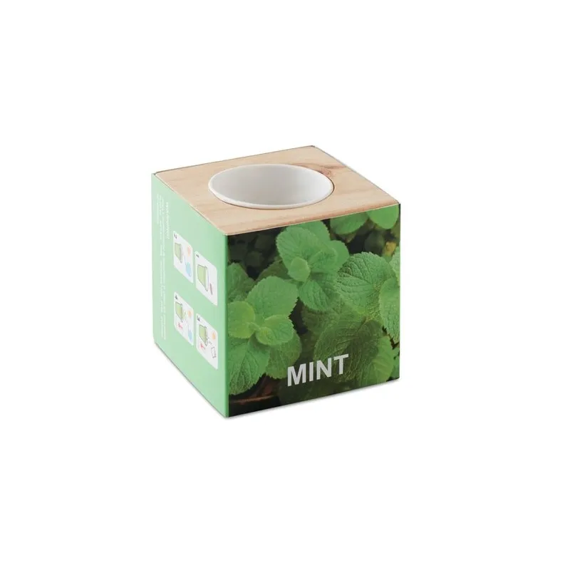 Pot en bois personnalisé avec graine de menthe MENTA Couleurs : bois
