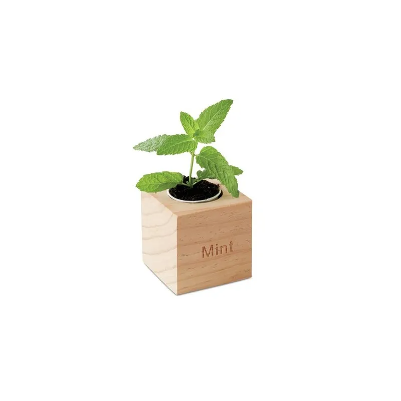 Pot en bois personnalisé avec graine de menthe MENTA Couleurs : bois cadeau entreprise pas cher