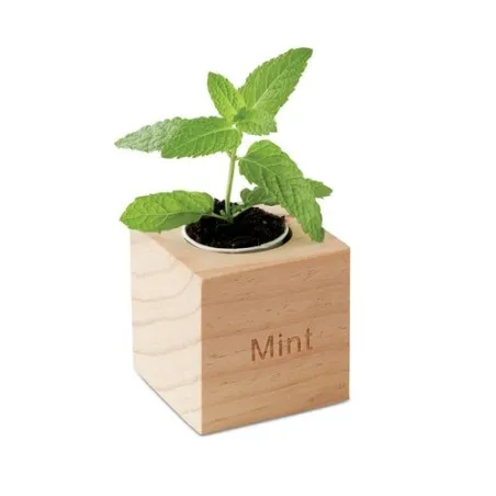 Pot en bois personnalisé avec graine de menthe MENTA Couleurs : bois cadeau entreprise pas cher