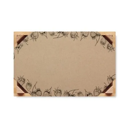 Graines de Fraises - Kit de Culture Écologique