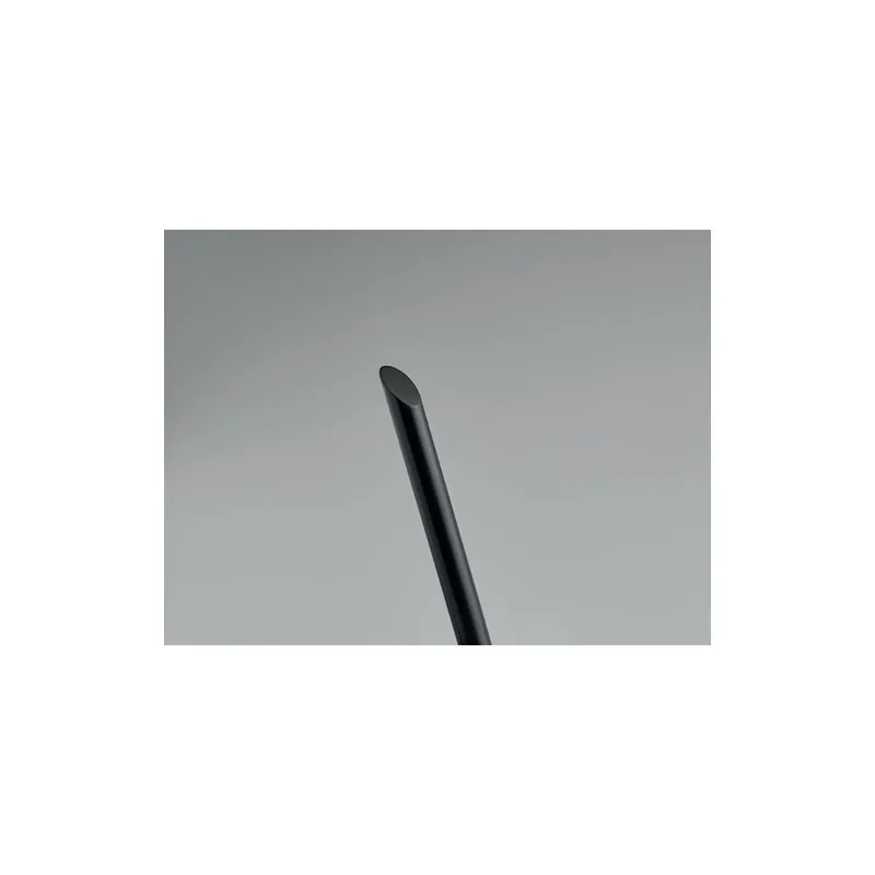 Stylo sans encre PENEVER : Écriture durable et écolo