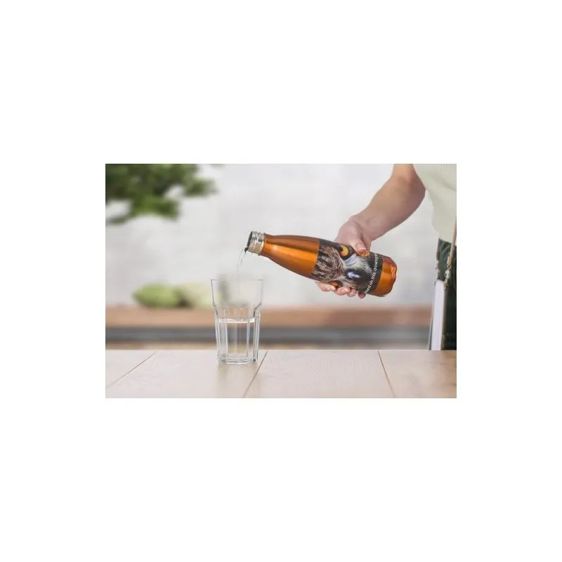 Gourde Acier Inoxydable 650 ml - Sumatra