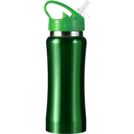 Gourde Serena 600 ml en Acier Inoxydable