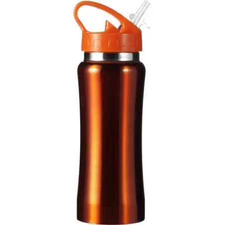 Gourde Serena 600 ml en Acier Inoxydable