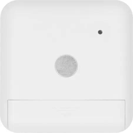 Minuteur Magnétique Nalani - Précision et Design